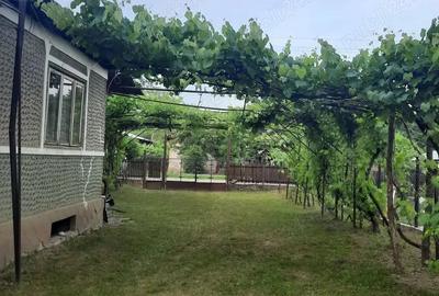 Vanzare teren si casa batraneasca in Dumbravesti, Prahova - 1