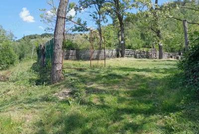 Teren extravilan de vanzare Stane?ti, 3.861 mp, livada de cire?i - 9