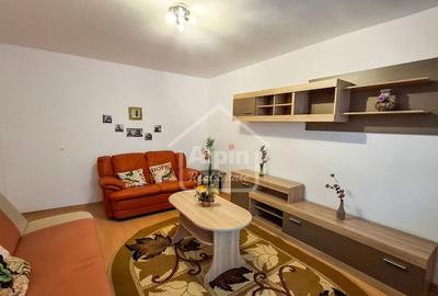 Suprafata Generoasa I Zona Gemenii - 17