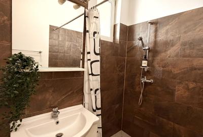Apartament cu 2 camere semidecomandat în Dumbrăvița - 7