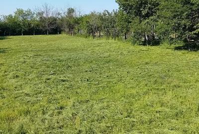 Teren de 1375 mp, în Ciolpani - 2