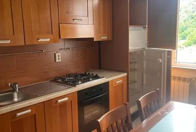 Apartament cu 3 camere semidecomandat în Central - 5
