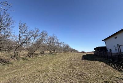 Teren de 8102 mp, în Smeura - 3