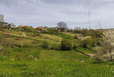 Teren de 1329 mp, în Feleacu