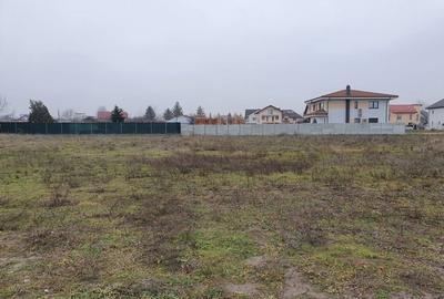 Catelu | Teren 5000MP | Intravilan | 15 Minute Metrou | OPORTUNITATE - 4