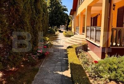 Casă individuală cu 11 camere cu Teren 2217 Mp în Bariera Vâlcii - 4