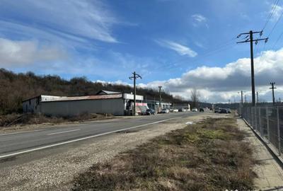 Teren în Dragomirești - 5