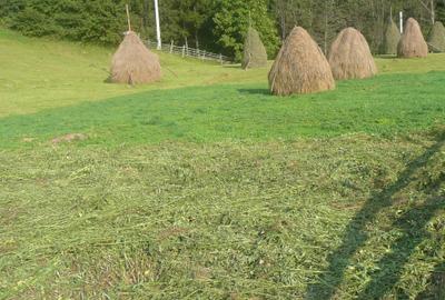 Teren intravilan situat in Traiteni,Valea Doftanei - 4