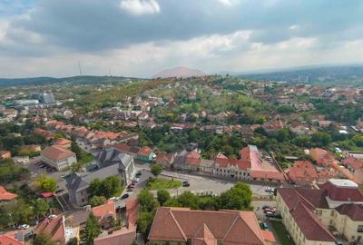 Casa / Vila cu 4 camere de vanzare Ultracentral Str. Louis Pasteur - 28