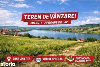 Teren de 10000 mp, în Tureni - 1