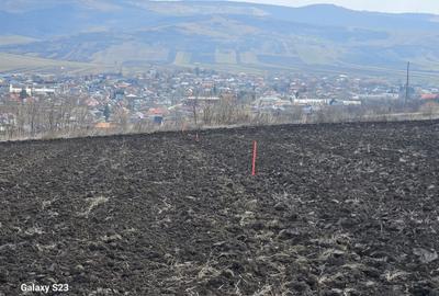 Teren de 800 mp, în Moara Grecilor - 3