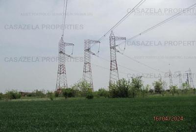 Teren extravilan, com. Frumusani, Calarasi - 4