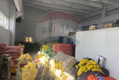 Spațiu industrial, de 300 mp, în Central - 4