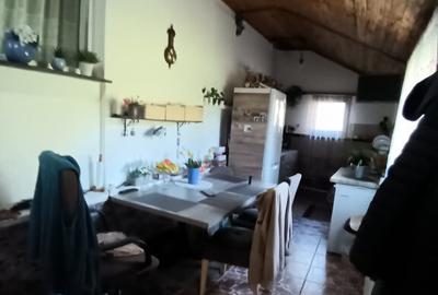 Valea Borcutului, casa 23 ari teren Valea Borcutului, casa 23 ari teren - 4