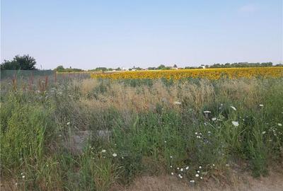 Teren Construcții intravilan de 10000 mp, în Metalurgiei