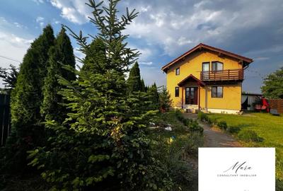 Casa Bacau Nicolae Balcescu - 4