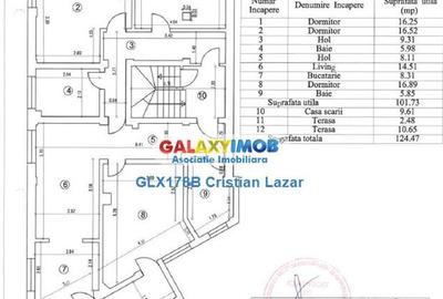 Apartament cu 4 camere decomandat, mobilat în Chitila - 11