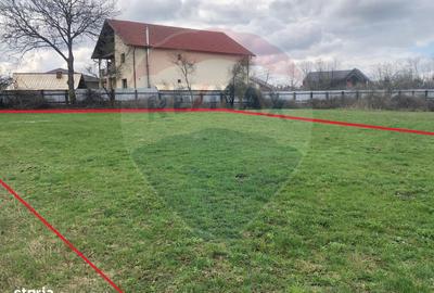 Teren de 500 mp, în Tărlungeni