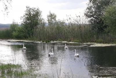 Teren de 1629 mp, în Câșlița - 2