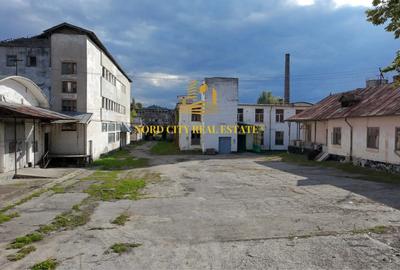 Spațiu industrial, de 21,018 mp, în Exterior Vest - 16