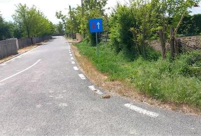 Teren de 1000 mp, în Nămoloasa