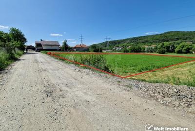 Teren intravilan 2000 mp - Popesti (Baciu) Ideal pentru casa, gradina si livada