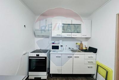 Casă individuală cu 3 camere cu Canalizare în Progresu - 13