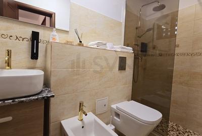 Apartament cu 3 camere decomandat, mobilat în Armeneasca - 15