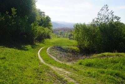 Teren 33,137mp Sighetu Marmatiei / Strada Mocanitei - 2