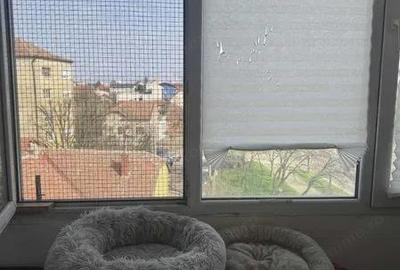 Apartament cu 3 camere decomandat în Șagului - 3