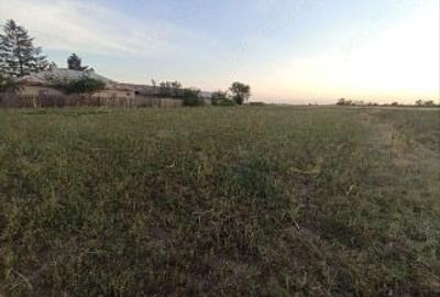 Teren Construcții intravilan de 2500 mp, în Ghimpați - 5