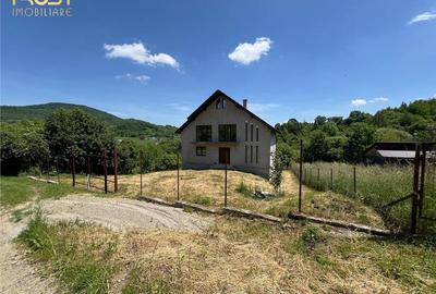 Casa semifinisata V. Ghinzii teren 18 arii - 3