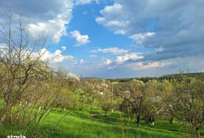 Casă cu 4 camere în Scorțeni - 11