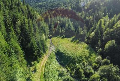 Teren în Central - 5