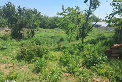 Casă cu 3 camere cu Teren 2000 Mp în Hotarele - 8
