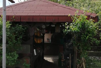 Casa de vanzare Sfantu Ilie, Dealul Crucii - 9