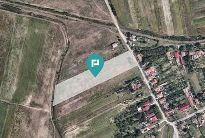 Teren Extravilan -Oportunitate Unică de Investiții - 1