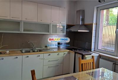 Inchiriere vila reprezentativa Rond Cosbuc / Libertatii / Parcul Carol Inchiriere vila reprezentativa Rond Cosbuc / Libertatii / Parcul Carol - 25