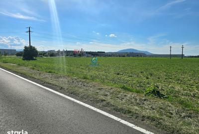 Teren de 18000 mp, în Central - 7