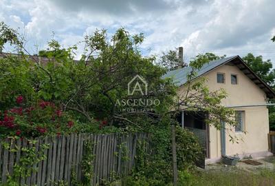 Teren Construcții intravilan de 15900 mp, în Fințești - 6