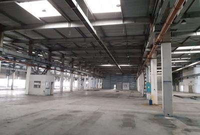 Spațiu comercial, de 20,000 mp, în Timișoara - 7