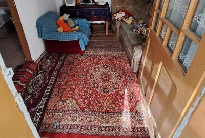 Casă cu Teren 1400 Mp în Dumitrești - 5