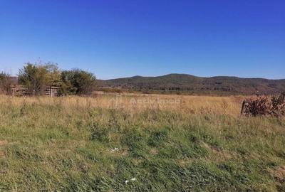 Teren intravilan 3000 mp constructii industriale Teren intravilan 3000 mp constructii industriale - 14