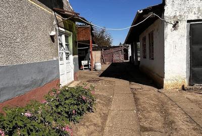 Casă cu 3 camere cu Teren 1440 Mp în Iratoșu - 3