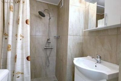 Apartament cu 2 camere semidecomandat, mobilat în Gara de Nord - 5