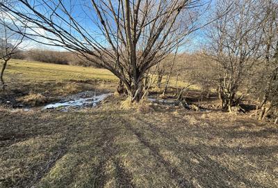 Teren Construcții intravilan de 500 mp, în Bran