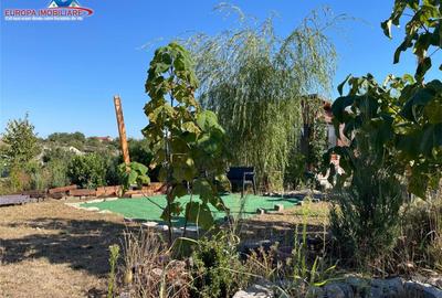 Teren de in localitatea Cataloi Tulcea - 11