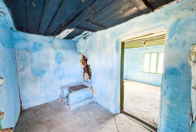 Casa, teren intravilan Negrasi Arges - 3