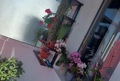 Apartament cu 3 camere decomandat în Ostroveni - 4