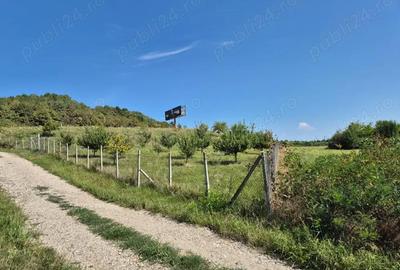 Teren de 12300 mp, în Crainimăt - 6